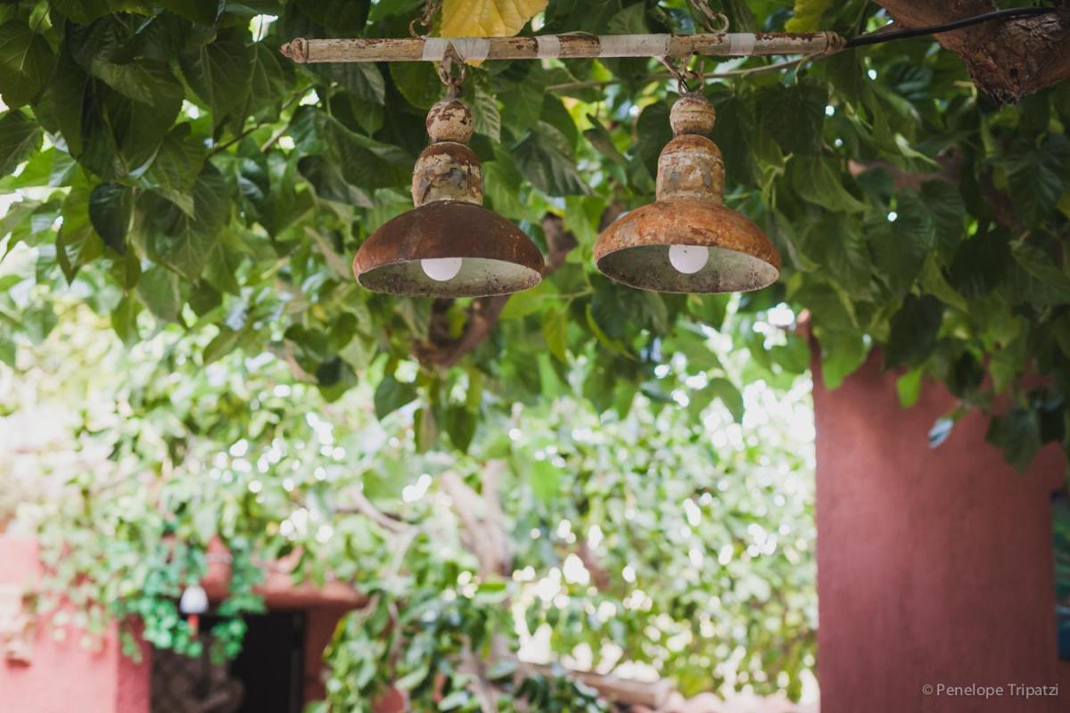 Zacharoulas Katikies Amarynthos Ngoại thất bức ảnh