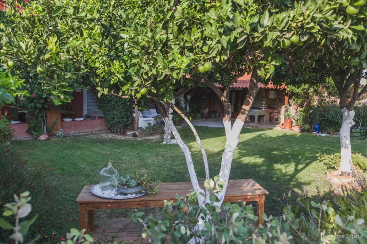Zacharoulas Katikies Amarynthos Ngoại thất bức ảnh