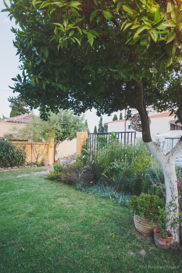 Zacharoulas Katikies Amarynthos Ngoại thất bức ảnh